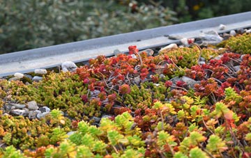 the cost of Bognor Regis green roof installation