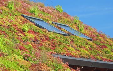 Bognor Regis living roof systems