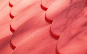 Bognor Regis plastic roof costs