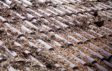 Bognor Regis roof cleaning companies