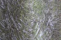 Bognor Regis fibreglass roof work