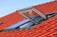 Bognor Regis roof window